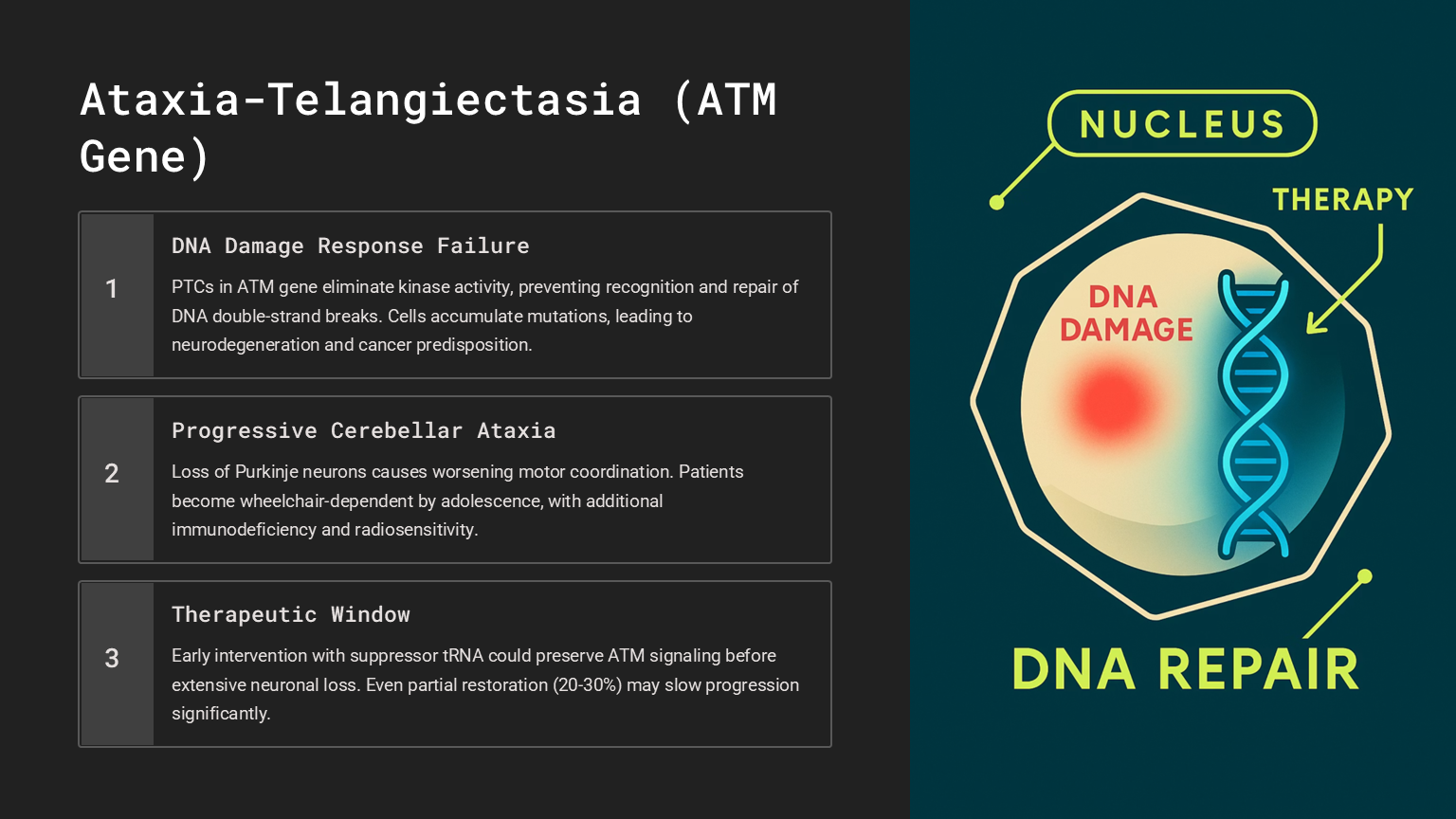 Ataxia-Telangiectasia (ATM Gene)